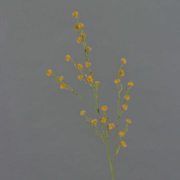 Künstlicher Zweig Stirlingia latifolia COLLAN, orange-grün, 75cm, Ø1cm