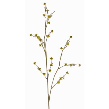 Künstlicher Zweig Stirlingia latifolia COLLAN, gelb-grün, 75cm, Ø1cm Künstlicher Zweig Stirlingia latifolia COLLAN, gelb-grün, 75cm, Ø1cm