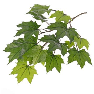 Künstlicher Ahorn Zweig VILGOT, crossdoor, grün, 70cm