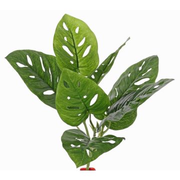 Kunstpflanze Philodendron Monstera adansonii SOANN, Steckstab, 30cm Kunstpflanze Philodendron Monstera adansonii SOANN, Steckstab, 30cm