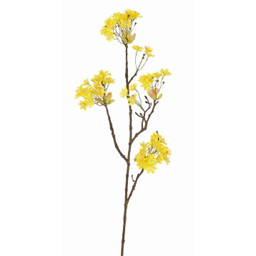 Unechter Ahorn Zweig ALHENA mit Blüten, gelb, 70cm, Ø5-9cm Unechter Ahorn Zweig ALHENA mit Blüten, gelb, 70cm, Ø5-9cm
