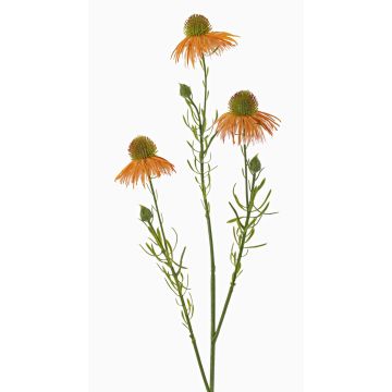 Künstlicher Sonnenhut Zweig CELIO, aprikose, 70cm, Ø6-7cm Künstlicher Sonnenhut Zweig CELIO, aprikose, 70cm, Ø6-7cm