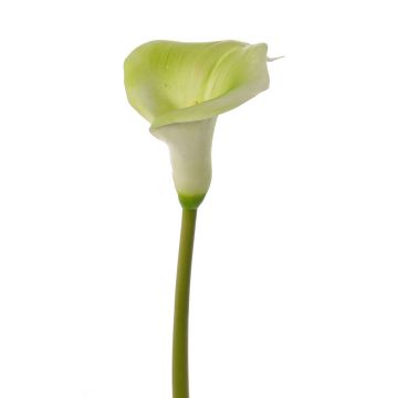 Künstliche Calla MIRAC, grün-weiß, 75cm, 12x15cm