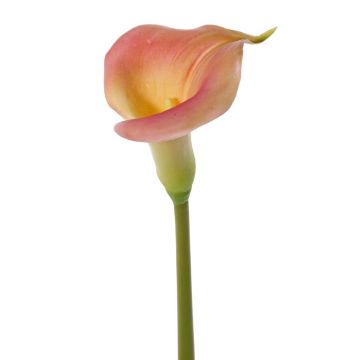 Künstliche Calla MIRAC, rosa-gelb, 75cm, 12x15cm