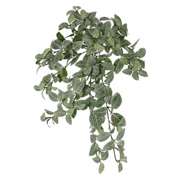 Fittonia künstlich NALEDI, Steckstab, crossdoor, schwer brennbar, grün-weiß, 50cm