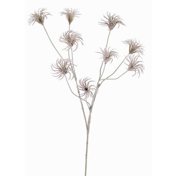 Künstliche Clematis Samenstand HARWAY, dunkelbraun, 105cm, Ø7cm Künstliche Clematis Samenstand HARWAY, dunkelbraun, 105cm, Ø7cm