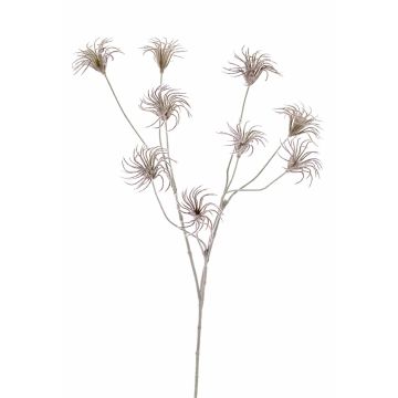 Künstliche Clematis Samenstand HARWAY, dunkelbraun, 105cm, Ø7cm