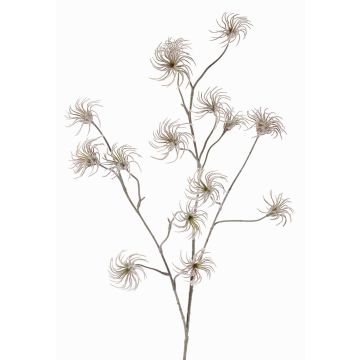 Künstliche Clematis Samenstand HARWAY, braun, 105cm, Ø7cm Künstliche Clematis Samenstand HARWAY, braun, 105cm, Ø7cm