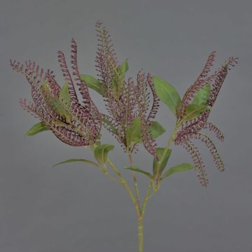 Künstliche Lavendelheide VILLADS auf Steckstab, burgunderrot, 40cm, Ø13-17cm Künstliche Lavendelheide VILLADS auf Steckstab, burgunderrot, 40cm, Ø13-17cm