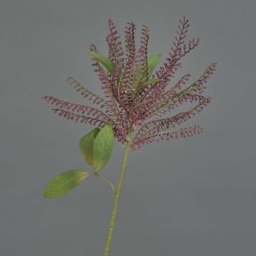 Künstliche Lavendelheide VILLADS, burgunderrot, 65cm, Ø20cm Künstliche Lavendelheide VILLADS, burgunderrot, 65cm, Ø20cm