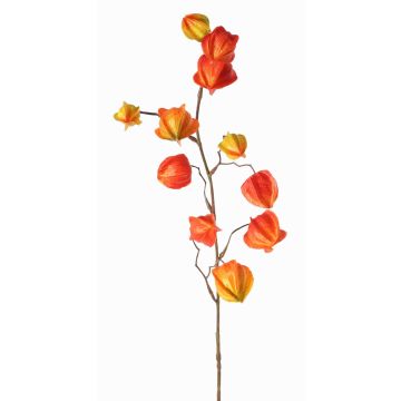 Künstlicher Physalis Zweig PERSEI mit Früchten, orange, 80cm