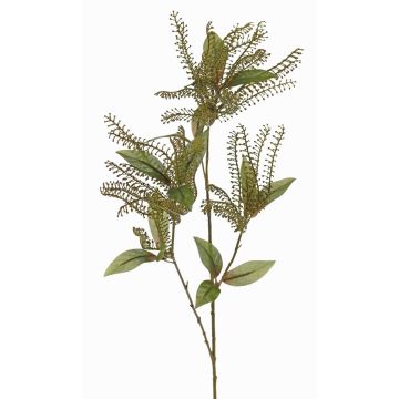 Künstliche Lavendelheide VILLADS, grün, 95cm, Ø9-20cm Künstliche Lavendelheide VILLADS, grün, 95cm, Ø9-20cm