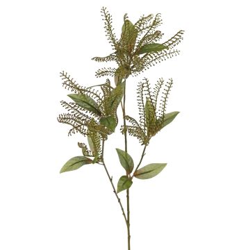 Künstliche Lavendelheide VILLADS, grün, 95cm, Ø9-20cm Künstliche Lavendelheide VILLADS, grün, 95cm, Ø9-20cm