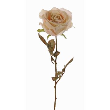 Künstliche Rose NAJMA, Trockenoptik, creme-rosa, 65cm, Ø10cm