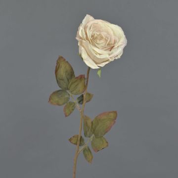 Künstliche Rose NAJMA, Trockenoptik, creme-rosa, 65cm, Ø10cm