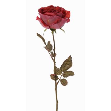 Künstliche Rose NAJMA, Trockenoptik, altrot-violett, 65cm, Ø10cm Künstliche Rose NAJMA, Trockenoptik, altrot-violett, 65cm, Ø10cm