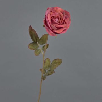 Künstliche Rose NAJMA, Trockenoptik, altrot-violett, 65cm, Ø10cm