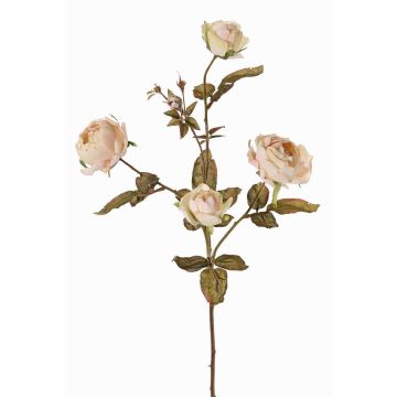 Künstlicher Rosen Zweig SITARA, Trockenoptik, creme-rosa, 75cm, Ø5-8cm Künstlicher Rosen Zweig SITARA, Trockenoptik, creme-rosa, 75cm, Ø5-8cm