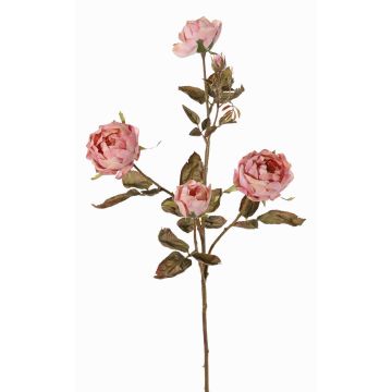 Künstlicher Rosen Zweig SITARA, Trockenoptik, altrosa, 75cm, Ø5-8cm Künstlicher Rosen Zweig SITARA, Trockenoptik, altrosa, 75cm, Ø5-8cm