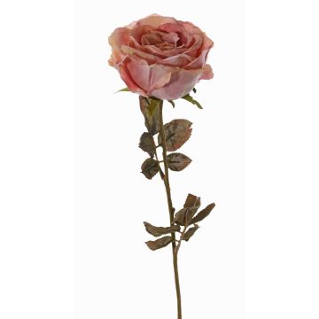 Künstliche Rose NAJMA, Trockenoptik, altrosa, 65cm, Ø10cm Künstliche Rose NAJMA, Trockenoptik, altrosa, 65cm, Ø10cm