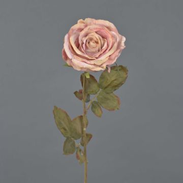 Künstliche Rose NAJMA, Trockenoptik, altrosa, 65cm, Ø10cm Künstliche Rose NAJMA, Trockenoptik, altrosa, 65cm, Ø10cm