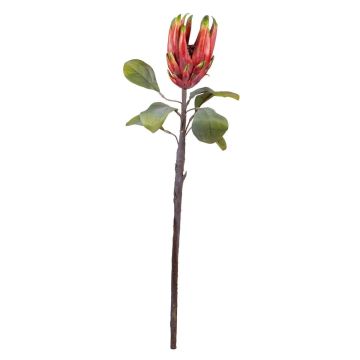 Künstliche Blume Königs-Protea BIENNINA, rot, 65cm Künstliche Blume Königs-Protea BIENNINA, rot, 65cm