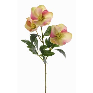Künstliche Christrose AKRAB, grün-pink, 45cm, Ø5-8cm Künstliche Christrose AKRAB, grün-pink, 45cm, Ø5-8cm