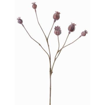 Mohnkapseln Zweig künstlich ASUMAN, braun, 70cm, Ø2-3cm Mohnkapseln Zweig künstlich ASUMAN, braun, 70cm, Ø2-3cm