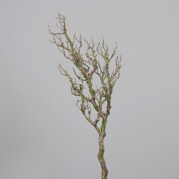 Künstlicher Zweig Birke NAELYSA mit Moos, braun, 115cm