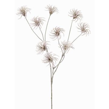 Kunst Clematis Samenstand HARWAY, braun, 70cm, Ø7cm Kunst Clematis Samenstand HARWAY, braun, 70cm, Ø7cm