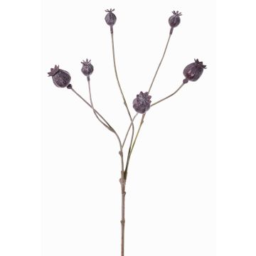 Mohnkapseln Zweig künstlich ASUMAN, dunkelbraun, 70cm, Ø2-3cm Mohnkapseln Zweig künstlich ASUMAN, dunkelbraun, 70cm, Ø2-3cm