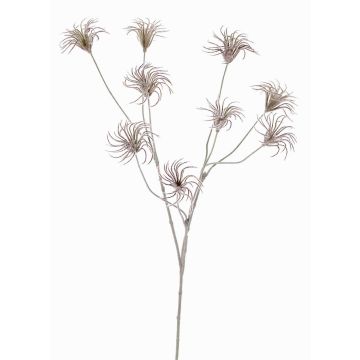 Kunst Clematis Samenstand HARWAY, dunkelbraun, 70cm, Ø7cm Kunst Clematis Samenstand HARWAY, dunkelbraun, 70cm, Ø7cm