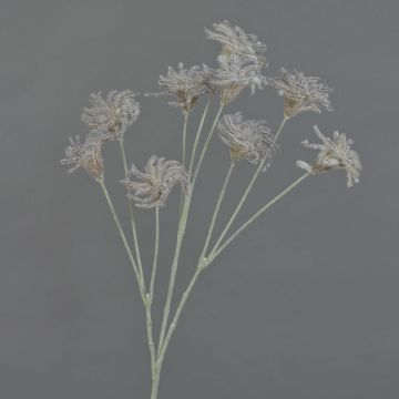 Kunst Clematis Samenstand HARWAY, dunkelbraun, 70cm, Ø7cm