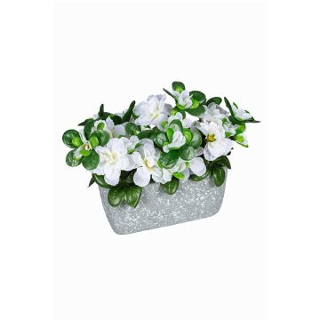 Künstliche Blume Azalee CELIANNE im Dekotopf, weiß, 24x15x19cm Künstliche Blume Azalee CELIANNE im Dekotopf, weiß, 24x15x19cm