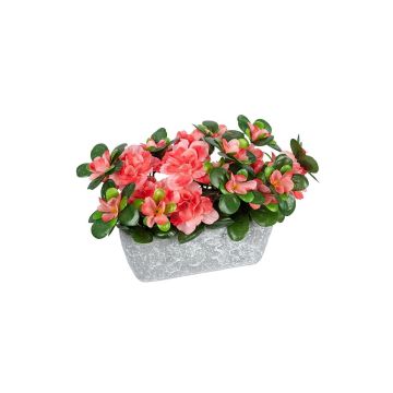 Künstliche Blume Azalee CELIANNE im Dekotopf, lachs, 24x15x19cm Künstliche Blume Azalee CELIANNE im Dekotopf, lachs, 24x15x19cm