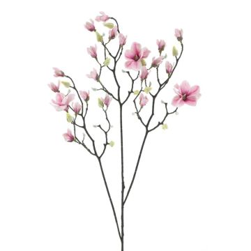 Dekozweig Magnolie NELKA, pink-weiß, 125cm Dekozweig Magnolie NELKA, pink-weiß, 125cm