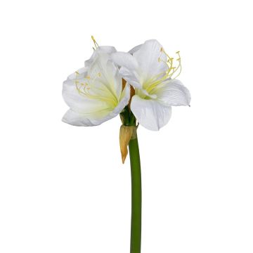 Künstliche Blume Amaryllis CUALIBA, weiß, 65cm