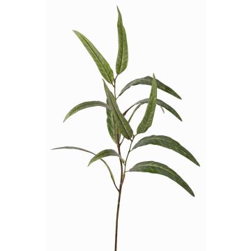 Künstlicher Eucalyptus Zweig SEMA, grün, 70cm