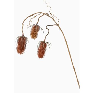 Deko Zweig Wilde Karde LORCAN, braun-rot, 90cm, Ø6-8cm