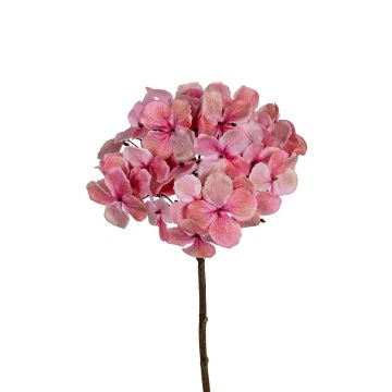 Dekoblume Hortensie DAMILLA, rosa, 50cm Dekoblume Hortensie DAMILLA, rosa, 50cm