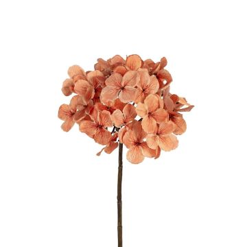 Dekoblume Hortensie DAMILLA, lachs, 50cm Dekoblume Hortensie DAMILLA, lachs, 50cm