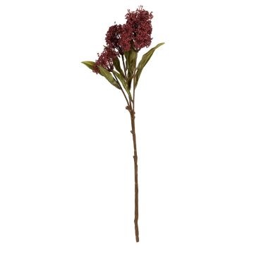 Kunstzweig Skimmie DANDOLIN mit Blüten, burgunderrot, 55cm