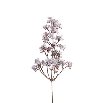 Künstlicher Zweig Prachtspiere DIENELA, beflockt, taupe, 70cm Künstlicher Zweig Prachtspiere DIENELA, beflockt, taupe, 70cm