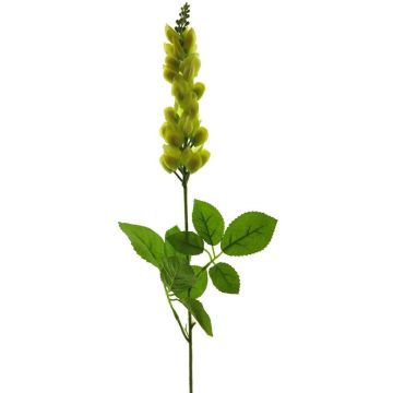 Dekoblume Irlandglocke ELSORA, gelb, 65cm Dekoblume Irlandglocke ELSORA, gelb, 65cm