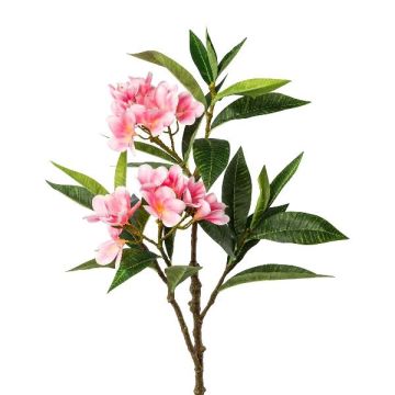 Dekozweig Frangipani DRIFEN, rosa, 110cm