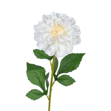 Kunstblume Zinnie DORELIN, weiß, 60cm Kunstblume Zinnie DORELIN, weiß, 60cm