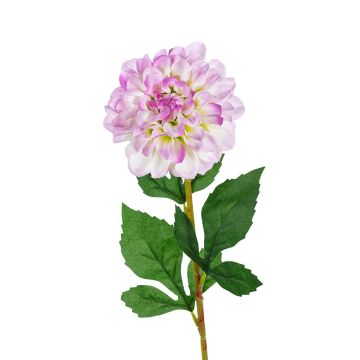 Kunstblume Zinnie DORELIN, creme-lila, 60cm Kunstblume Zinnie DORELIN, creme-lila, 60cm