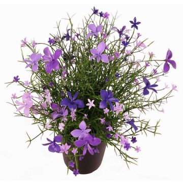 Dekoblume Fleißiges Lieschen GISINDA im Dekotopf, lila-flieder, 25cm