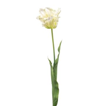 Deko Papageientulpe LUNIA, weiß-grün, 70cm