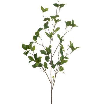 Kunstzweig Kirschzweig VIBIA, grün, 115cm Kunstzweig Kirschzweig VIBIA, grün, 115cm